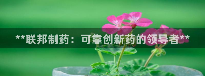 九游会老哥俱乐部官网:**联邦制药:可靠创新药的领导者**